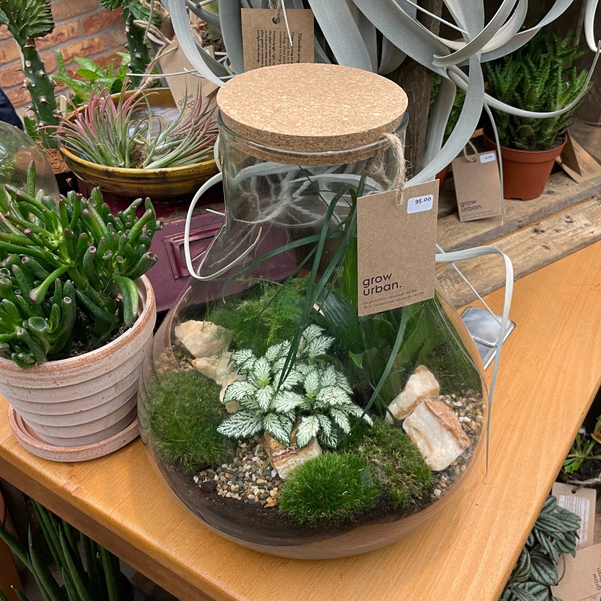 Large Flask Terrarium - grow urban. UK