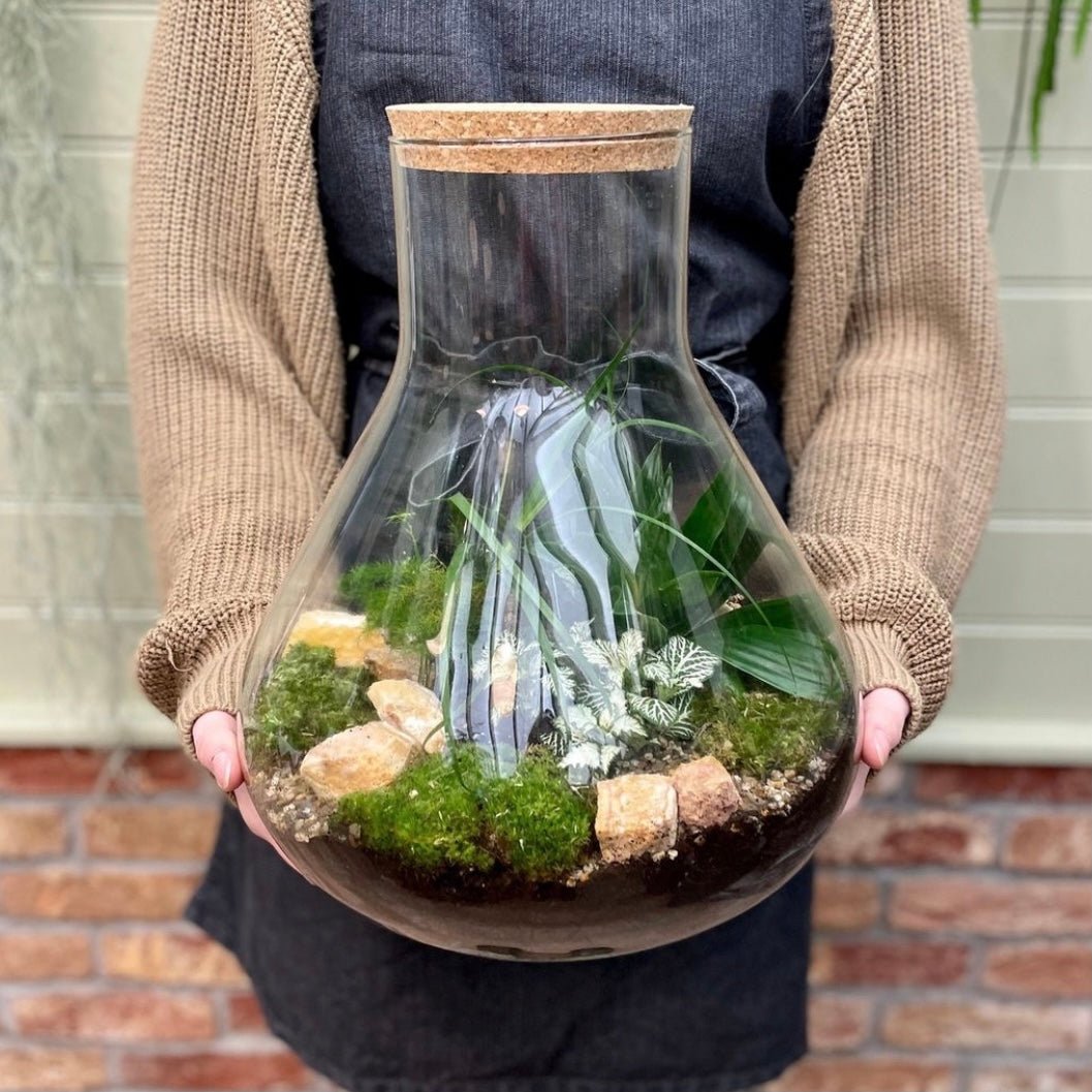 Large Flask Terrarium - grow urban. UK