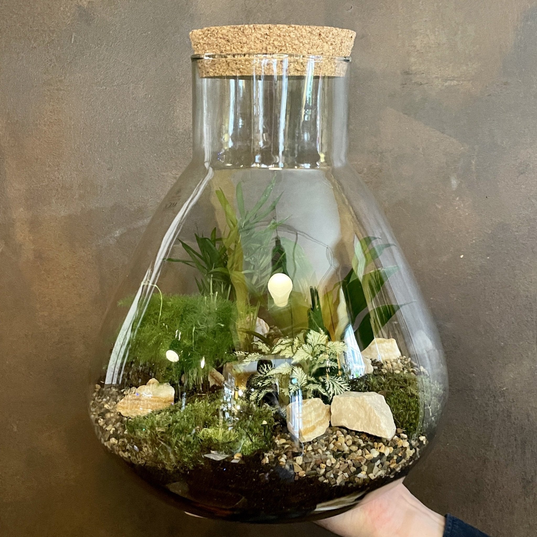 Large Flask Terrarium - grow urban. UK