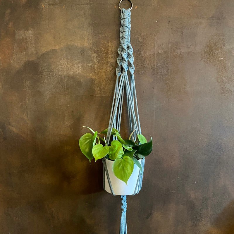 Macrame Plant Hanger - grow urban. UK