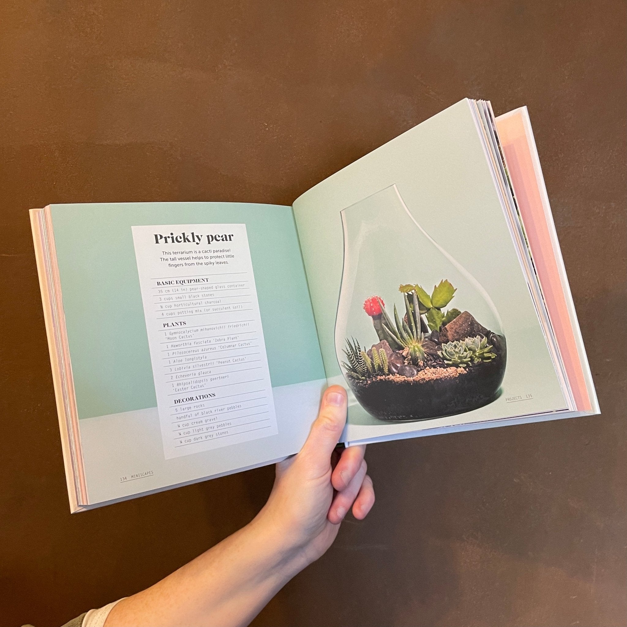 Miniscapes: Create your own terrarium - grow urban. UK