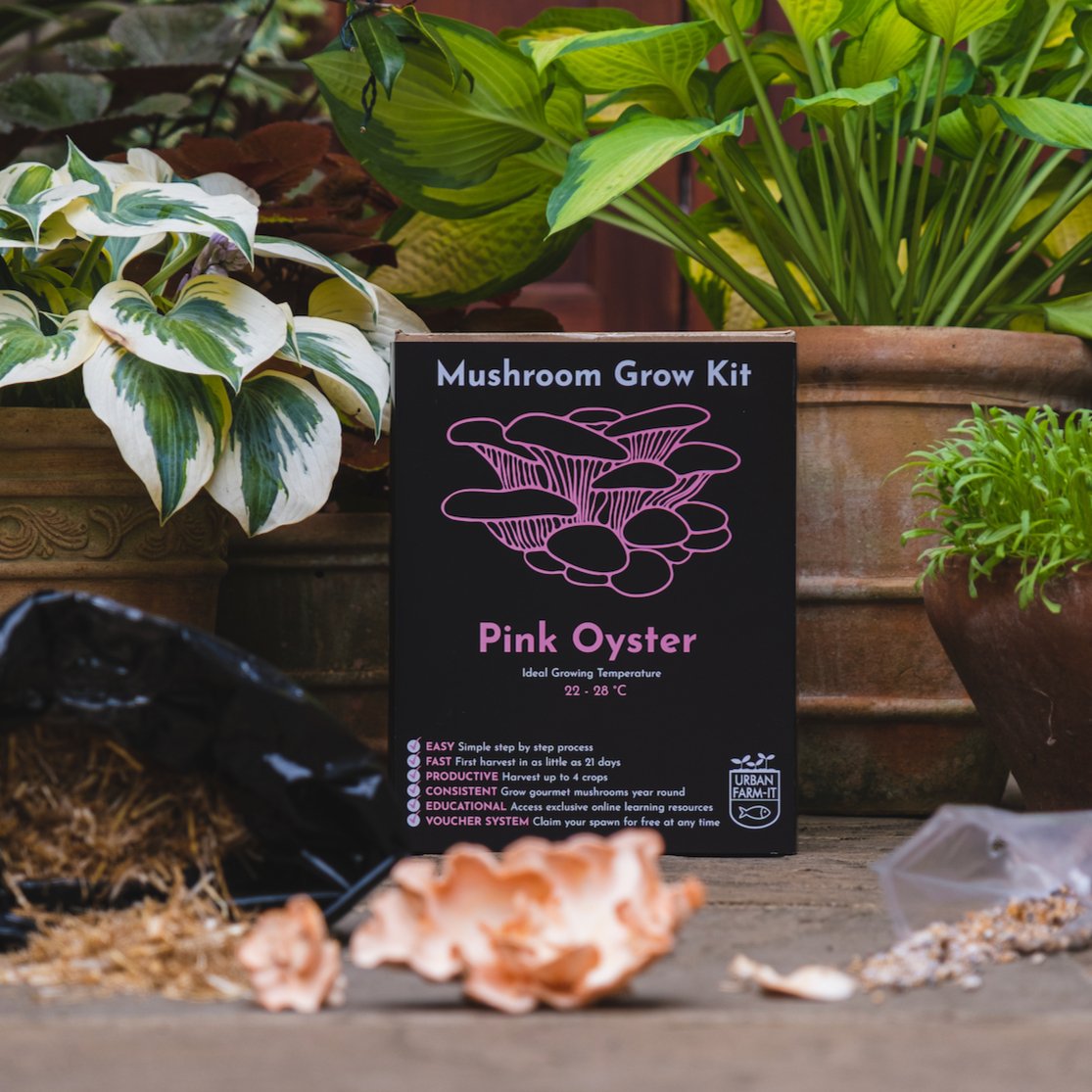 Mushroom Grow Kit | Urban Farm-It - grow urban. UK