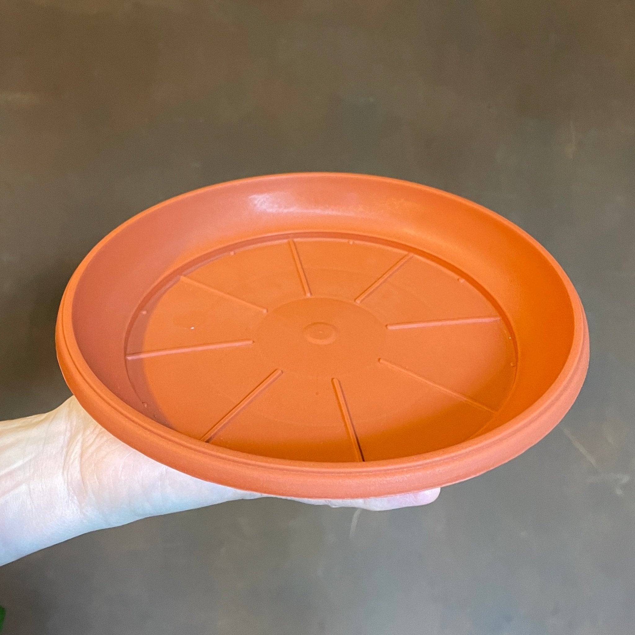 Plant Saucers for Growing Pots - grow urban. UK