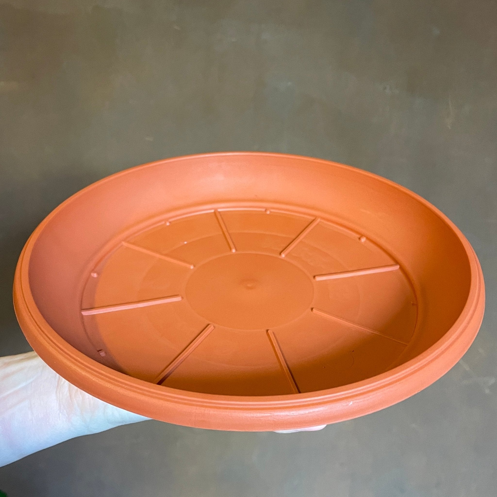 Plant Saucers for Growing Pots - grow urban. UK