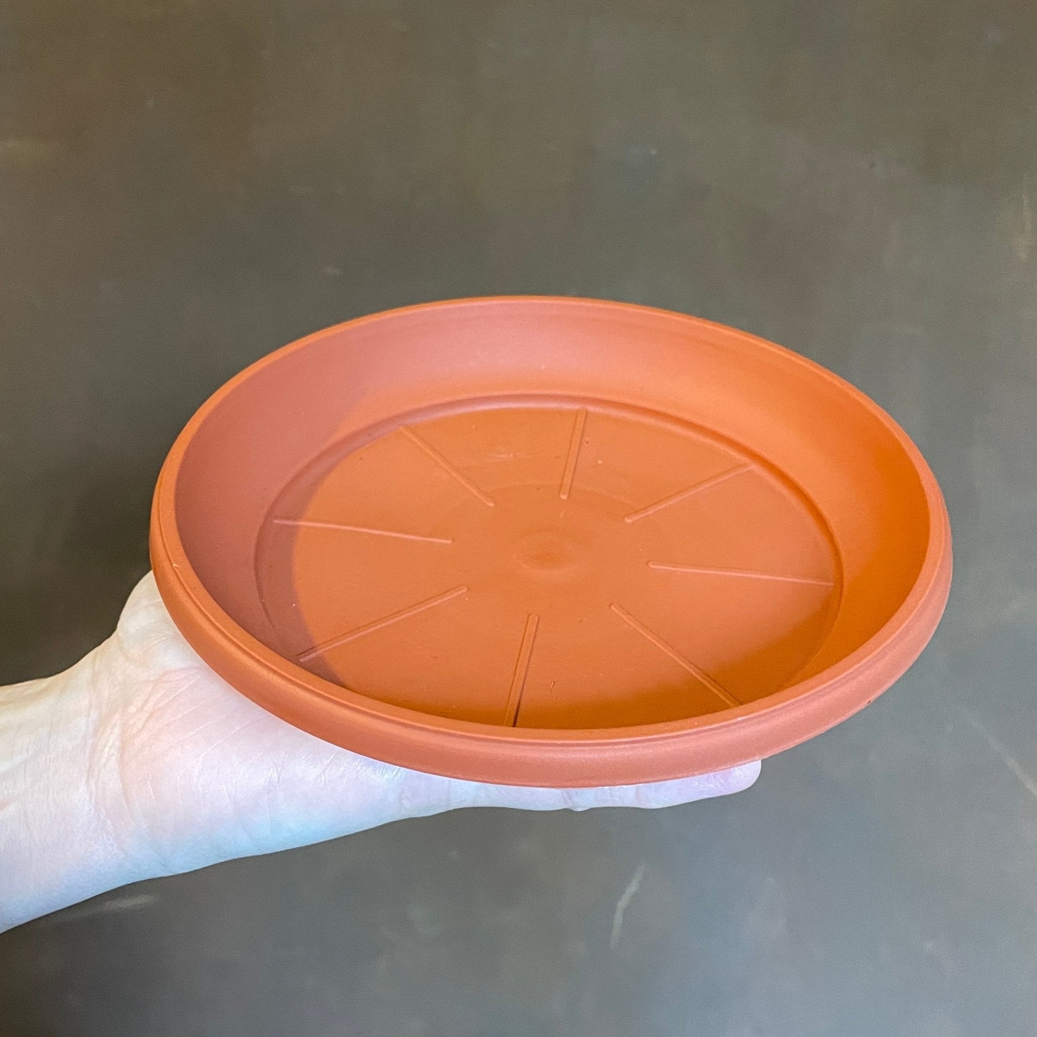 Plant Saucers for Growing Pots - grow urban. UK