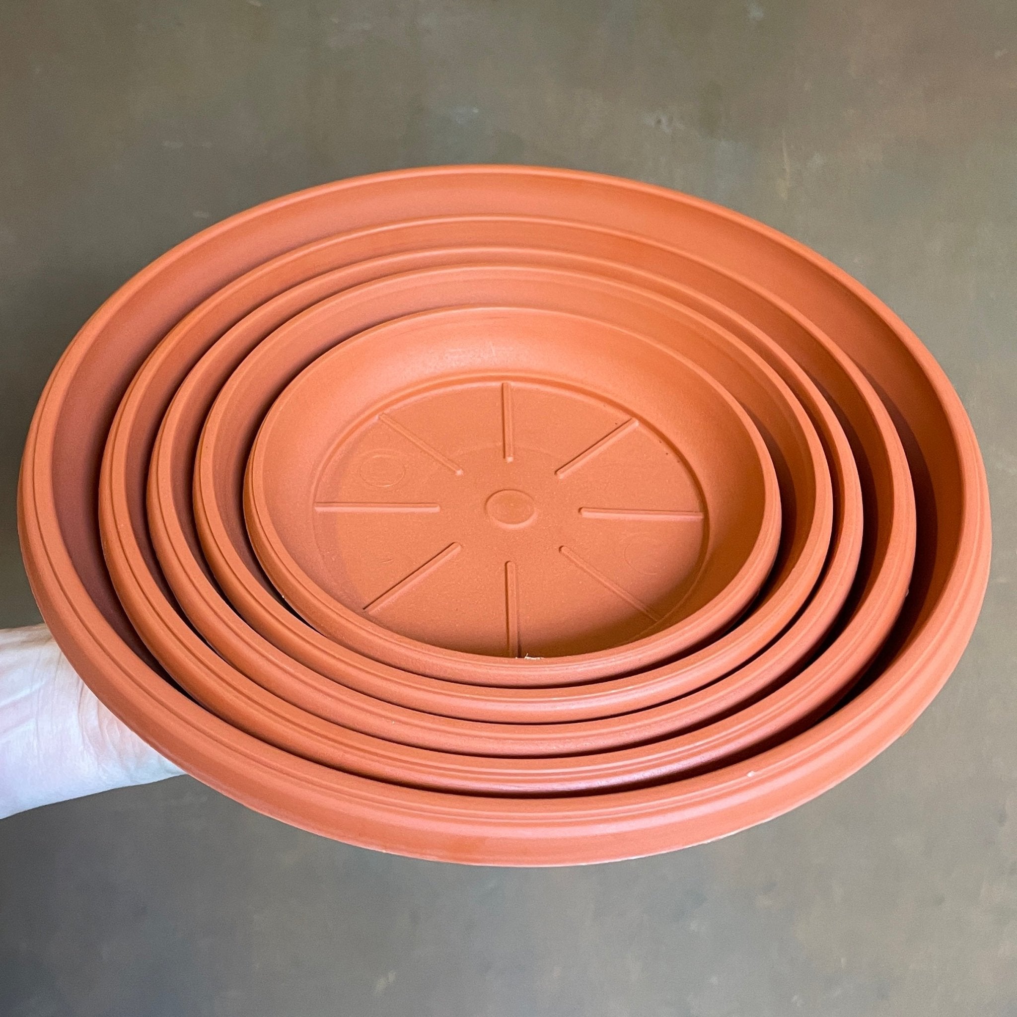 Plant Saucers for Growing Pots - grow urban. UK