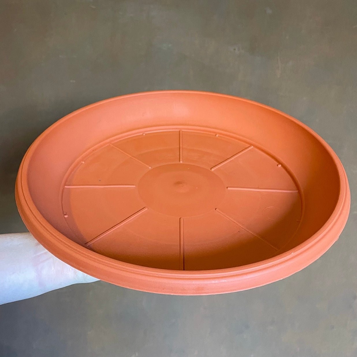 Plant Saucers for Growing Pots - grow urban. UK