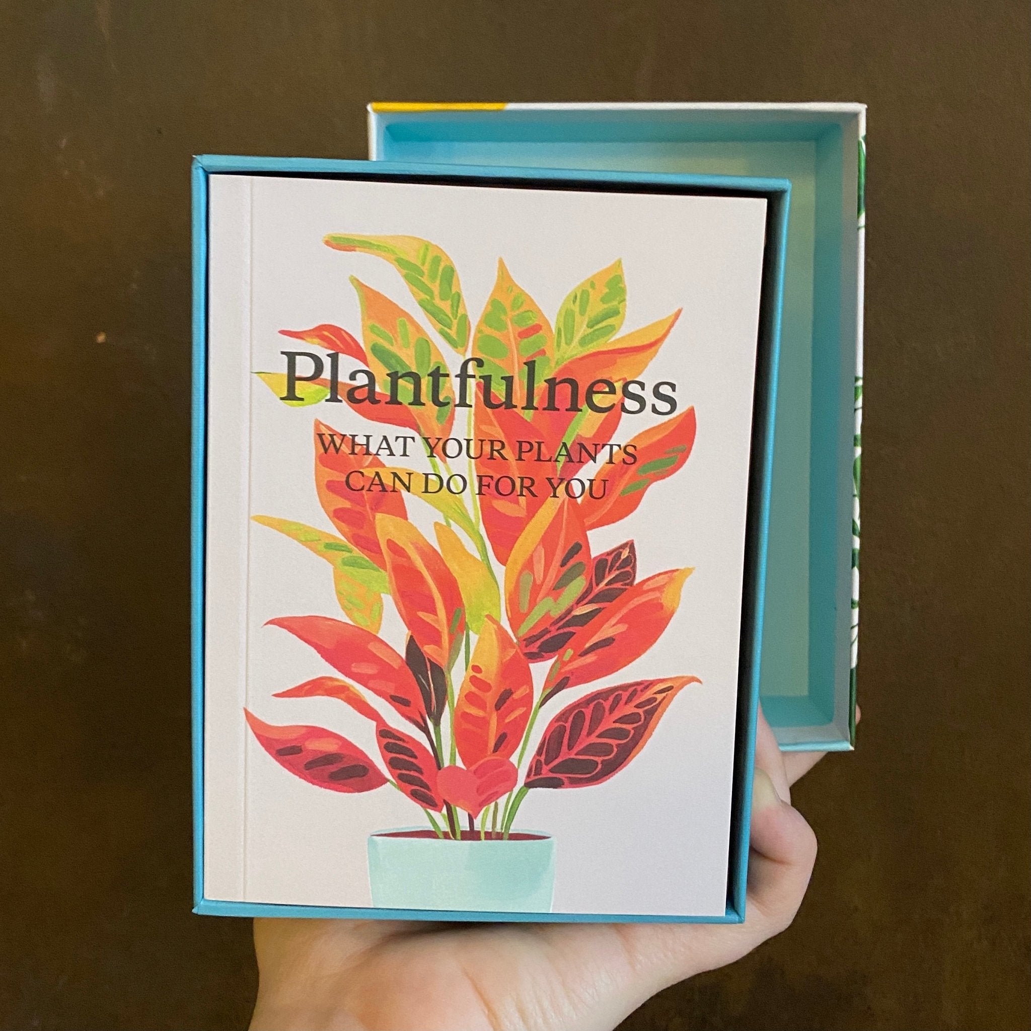 Plantfulness - grow urban. UK