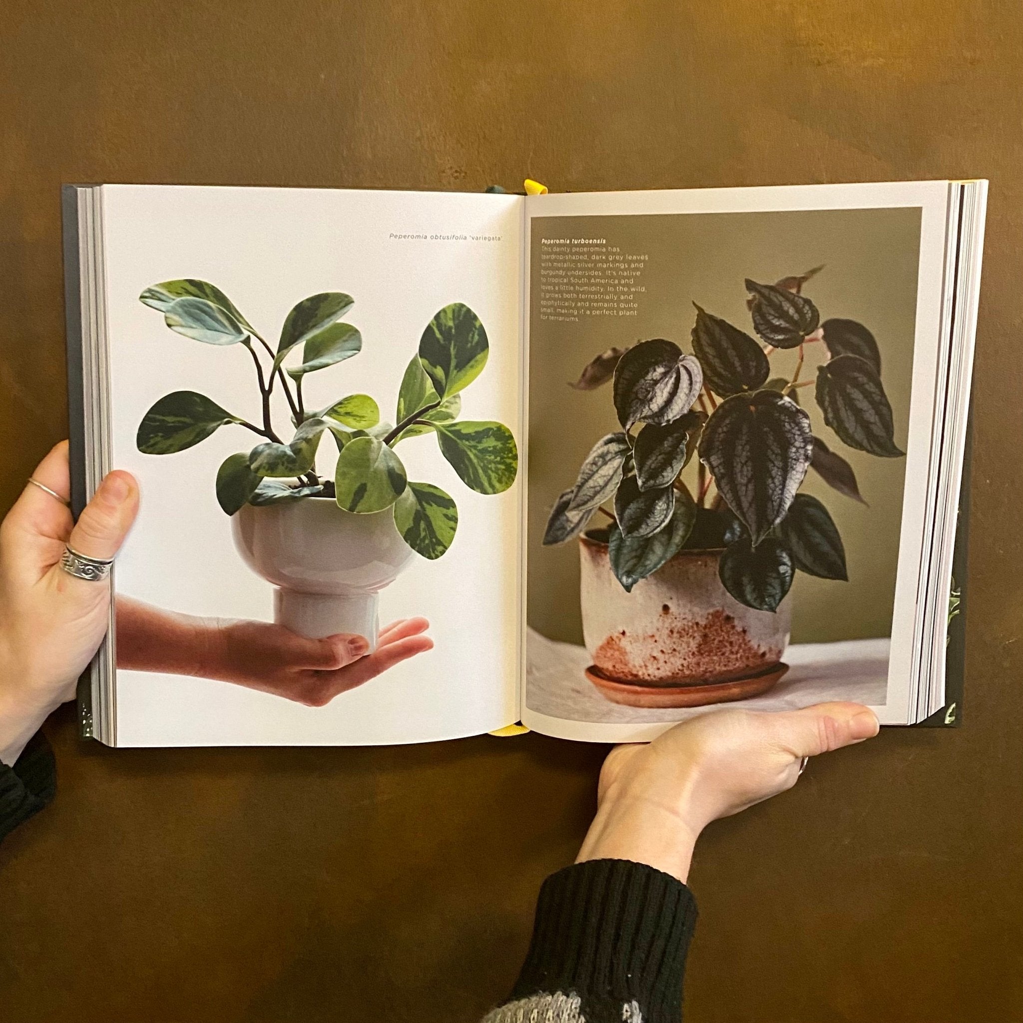 Plantopedia - grow urban. UK