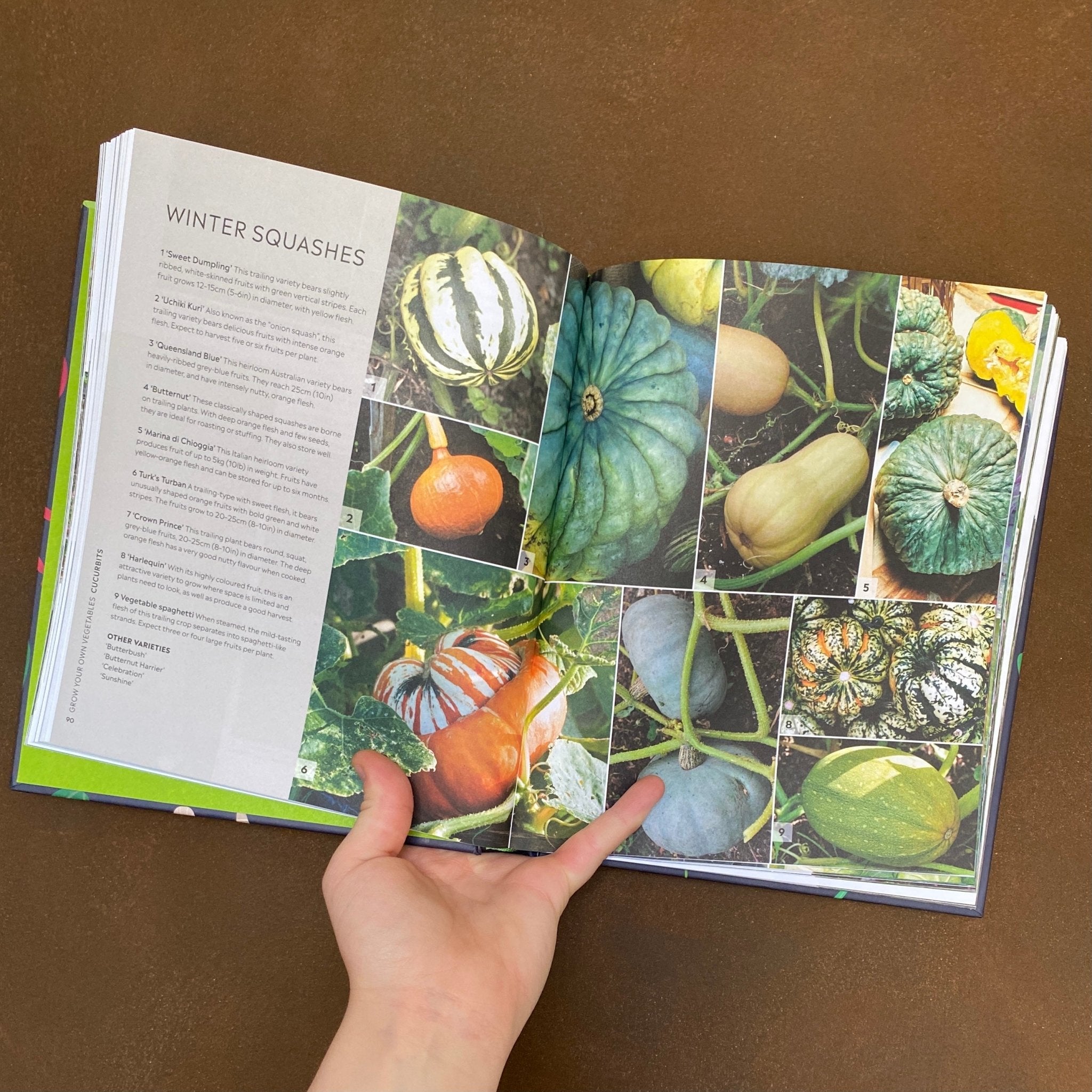 RHS Step-by-Step Veg Patch - grow urban. UK