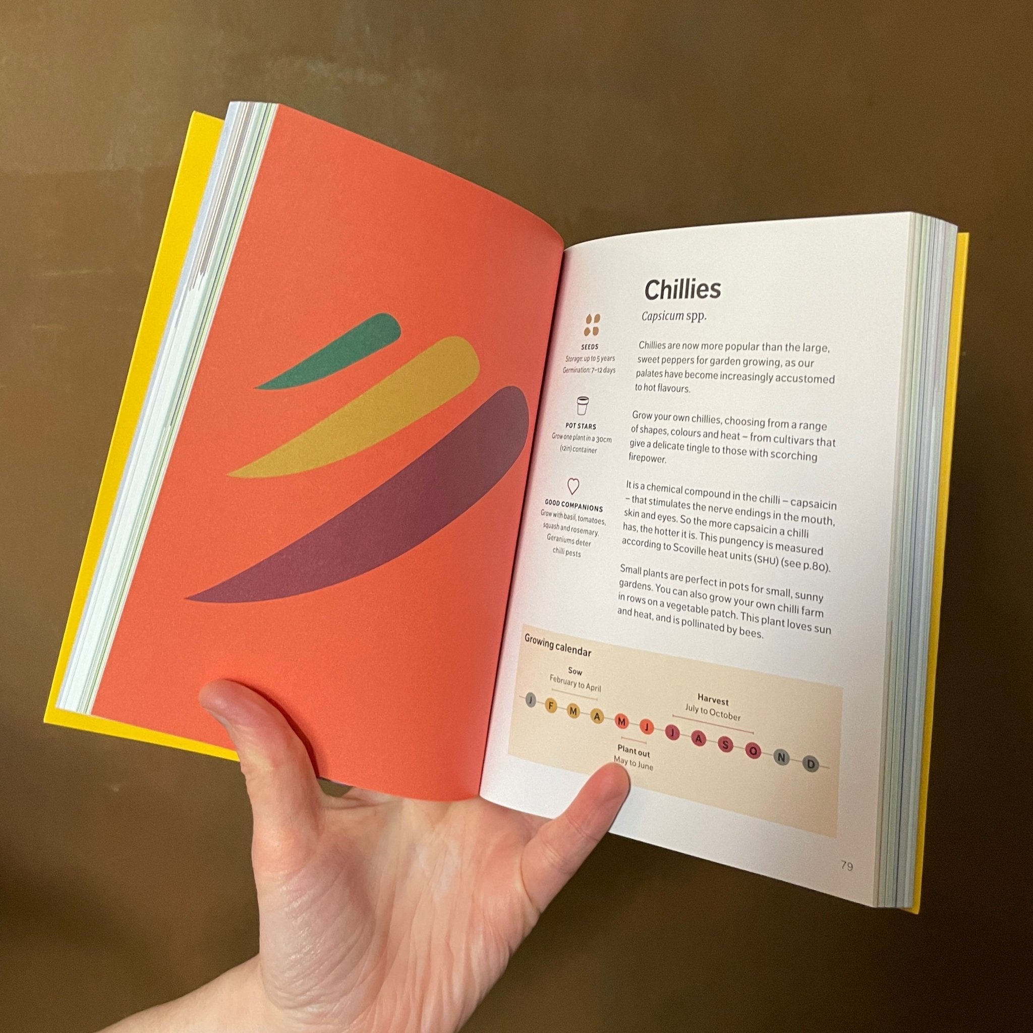 SowHow: A Modern Guide to Grow-Your-Own Veg - grow urban. UK