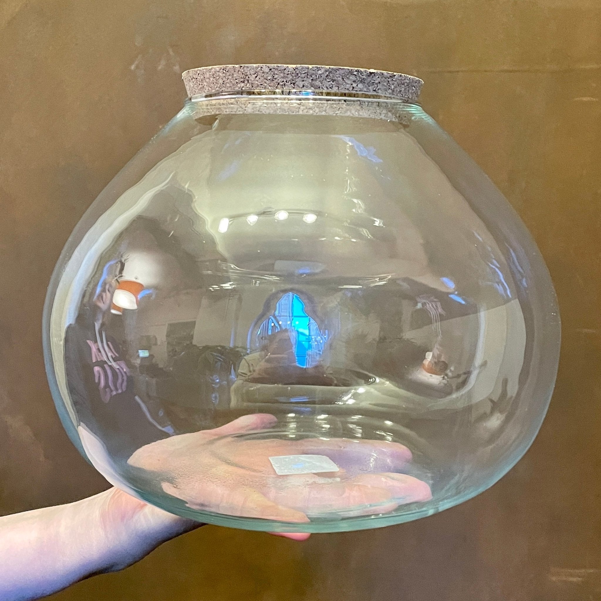 Terrarium Vessel - Spheroid - grow urban. UK