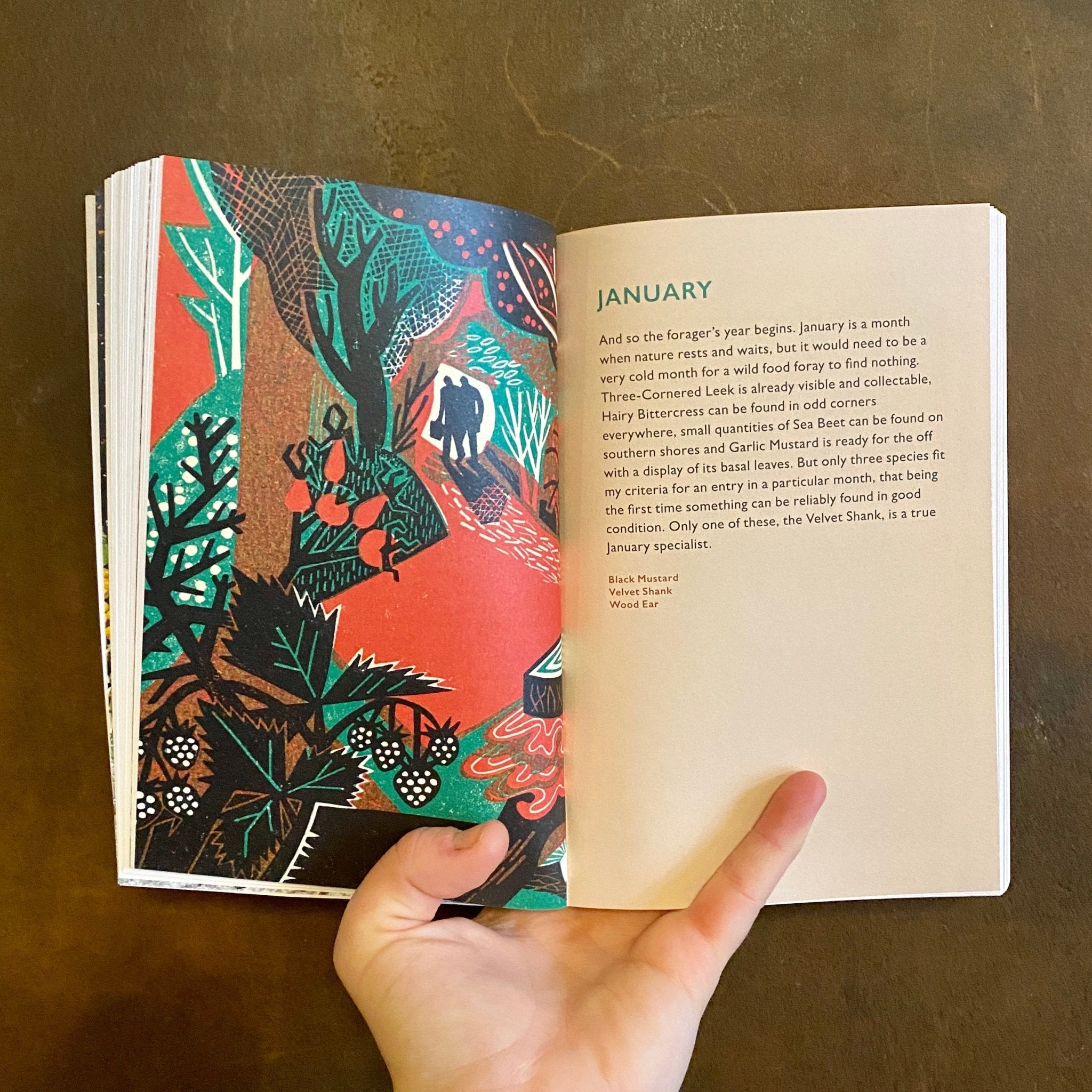 The Forager's Calendar - grow urban. UK