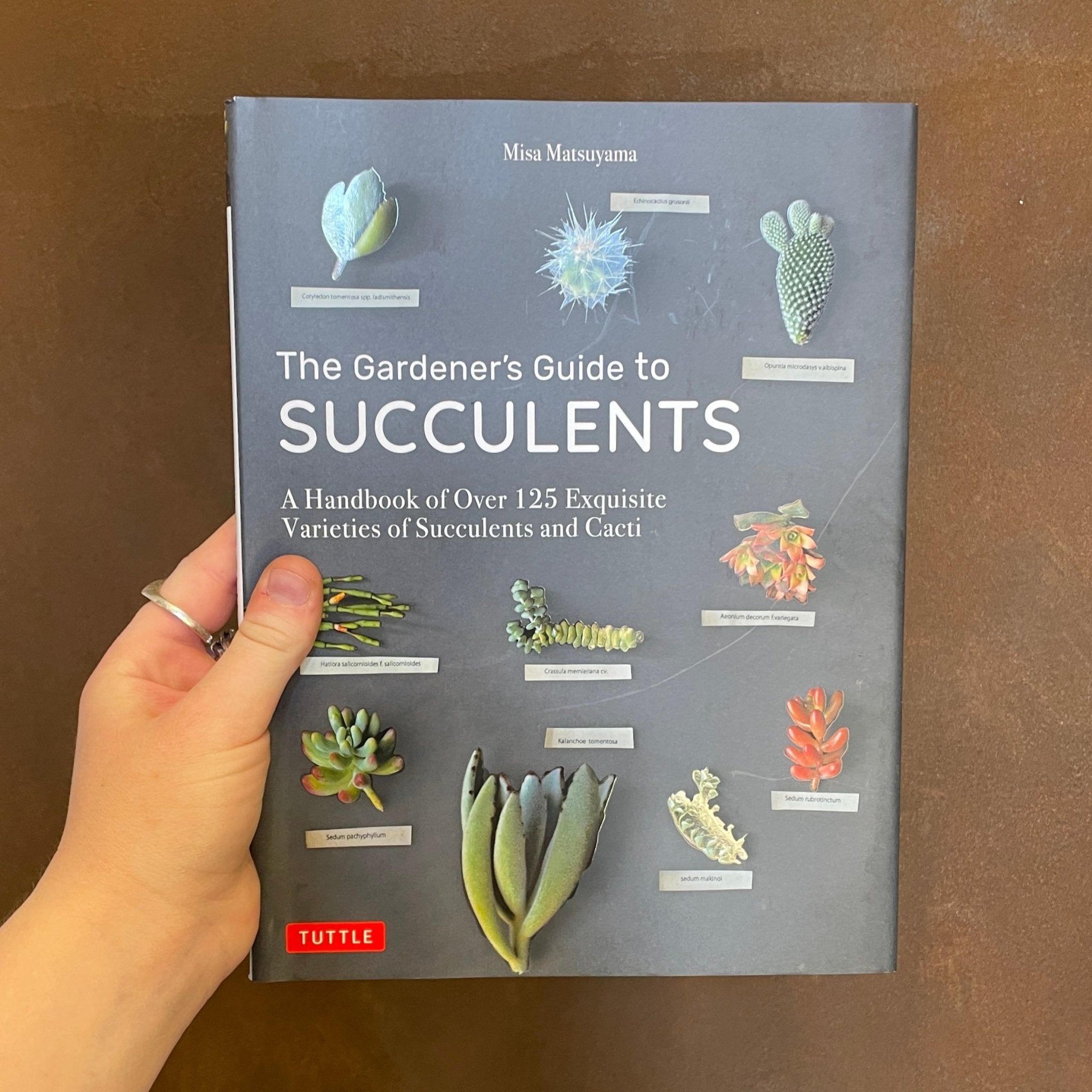 The Gardener's Guide to Succulents - grow urban. UK