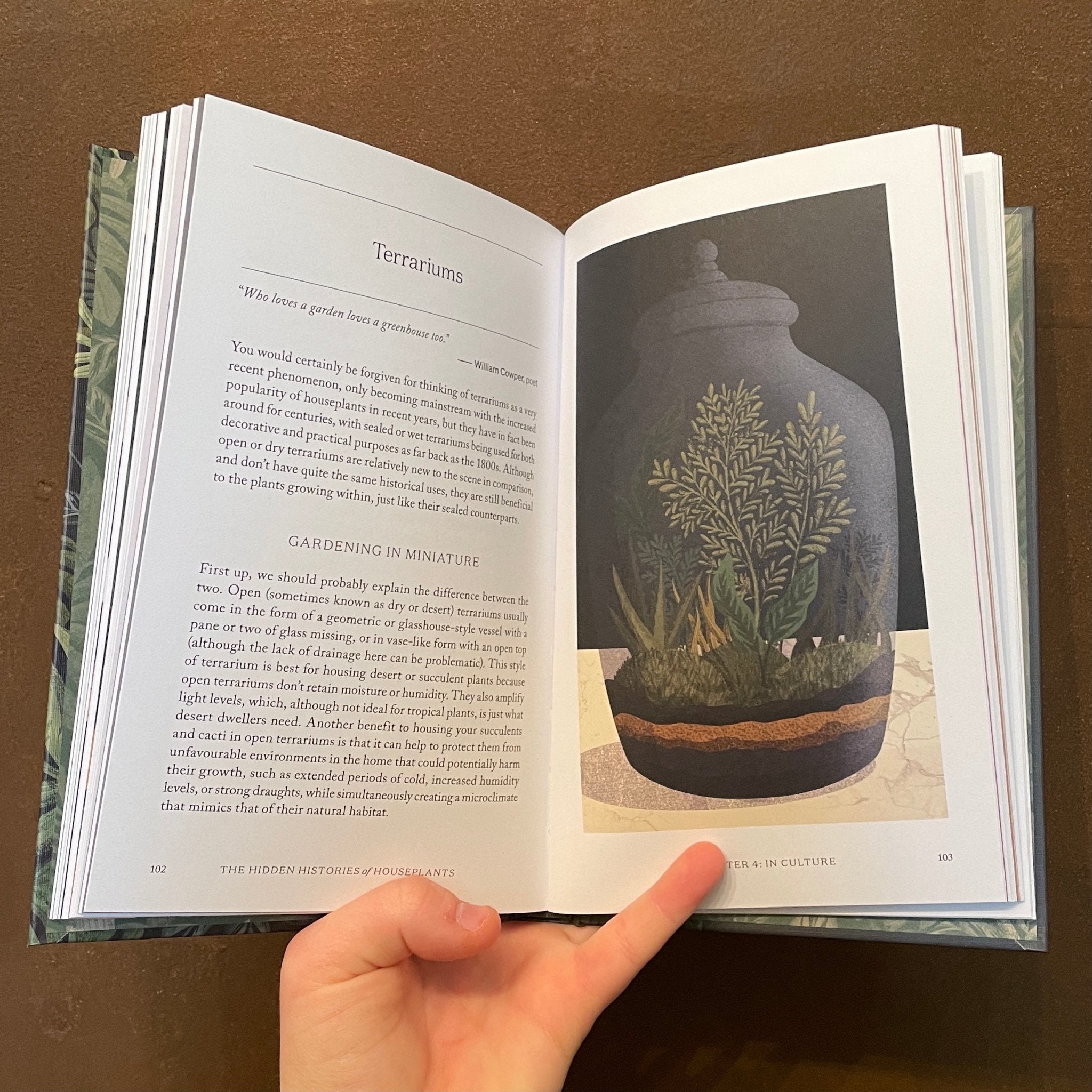 The Hidden Histories of House Plants - grow urban. UK