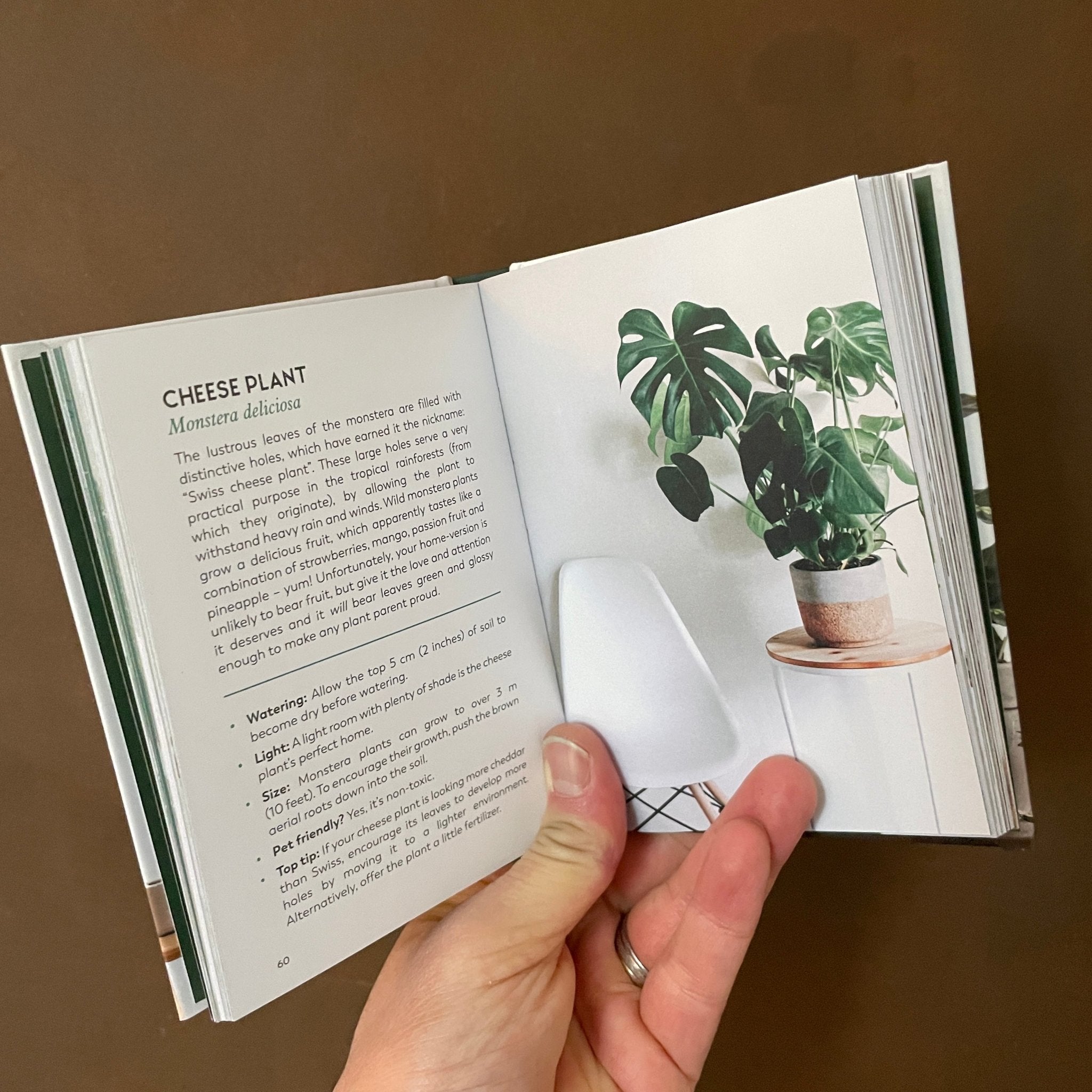 The Little Book for Plant Parents - grow urban. UK