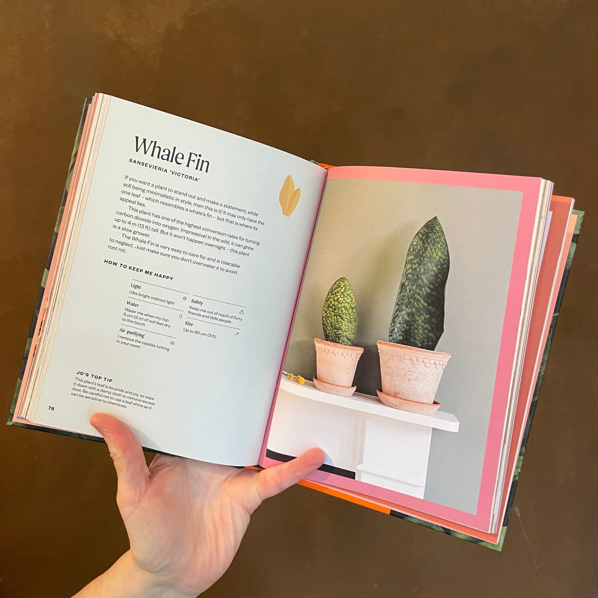 The Unkillables - grow urban. UK