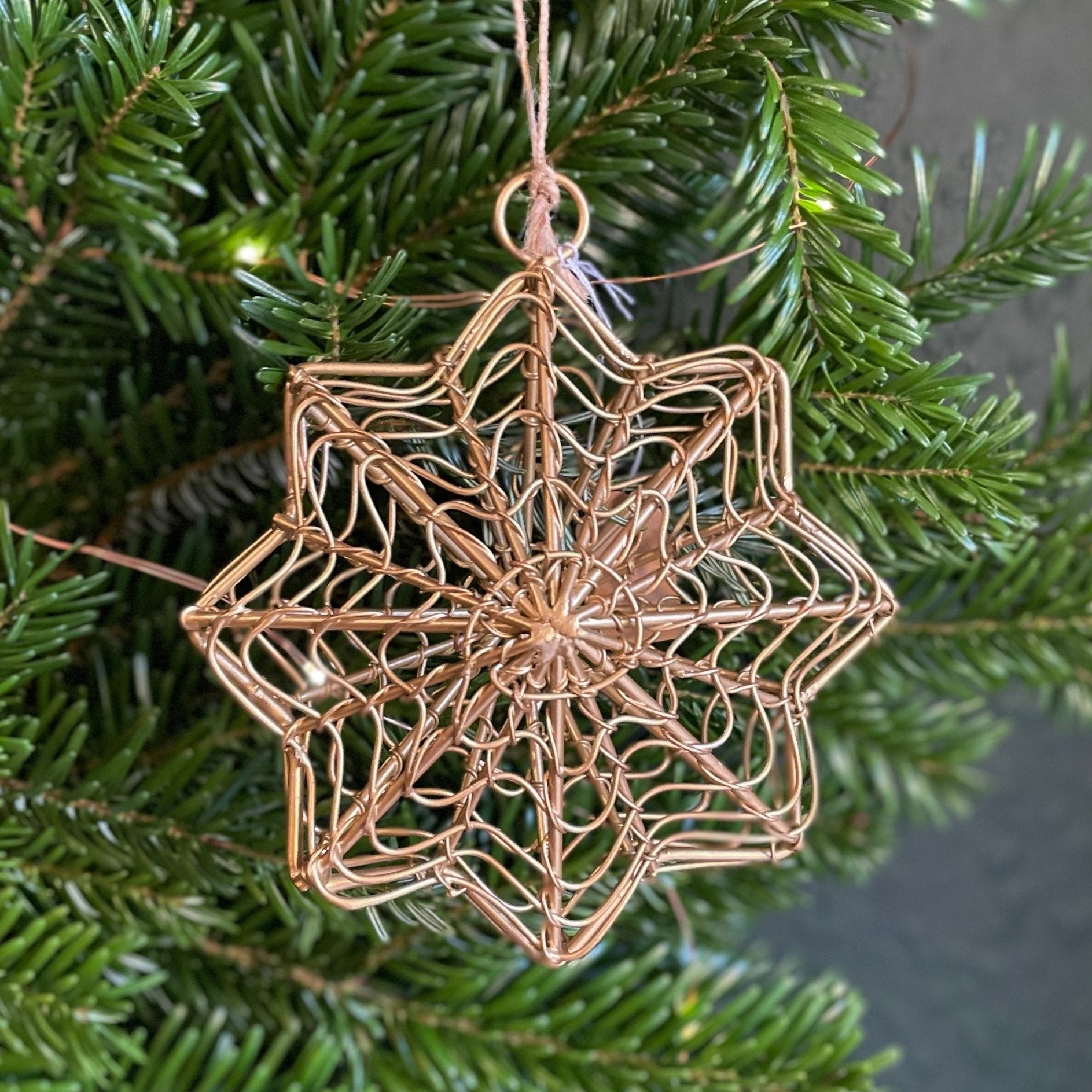 Wire Hanging Star - grow urban. UK