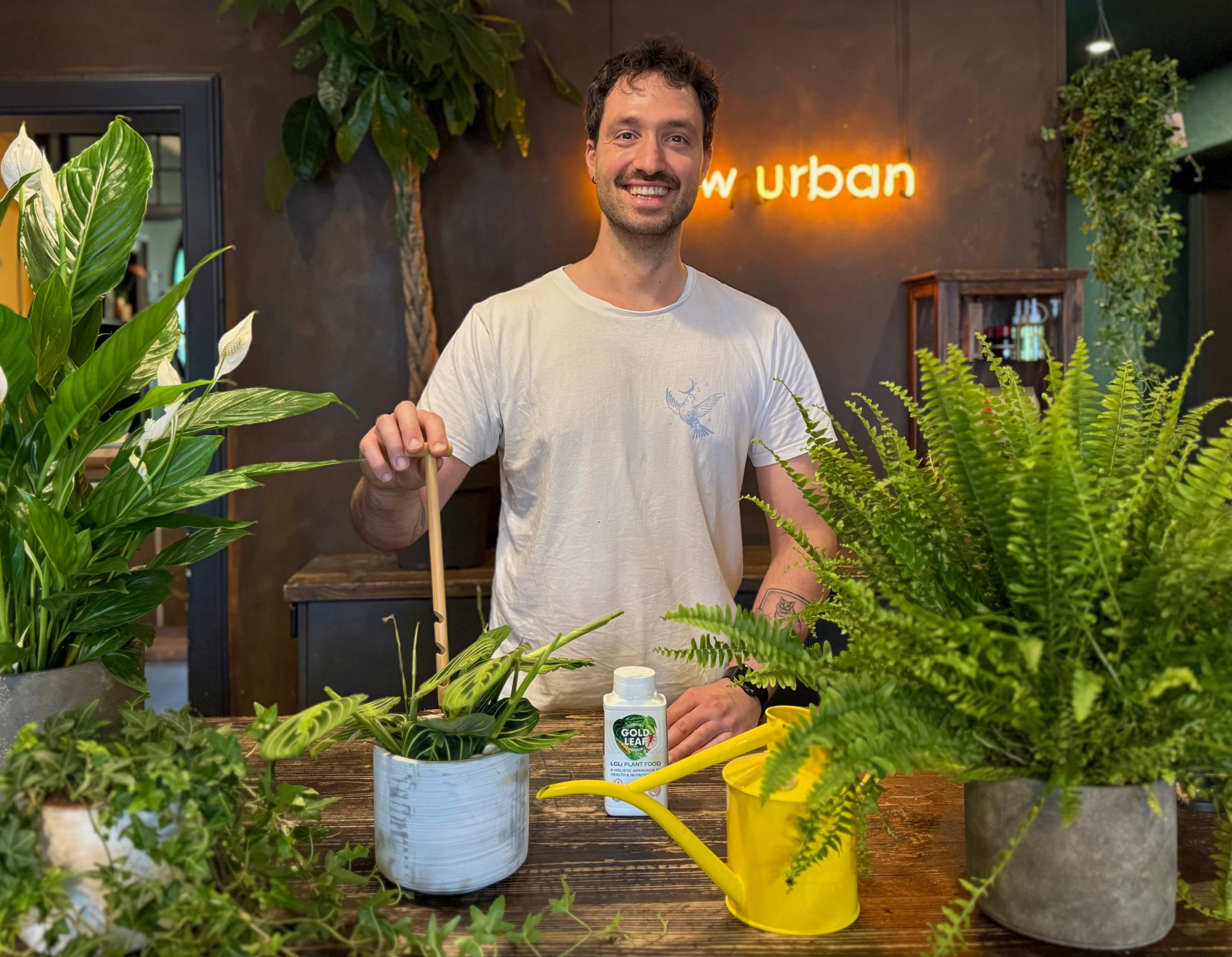 Plant Guru at grow urban plant shop surrounded by plants, a yellow Haws watering can, Liquid Gold Leaf Feed and testing compost wetness with a Botanopia Soil Checker.