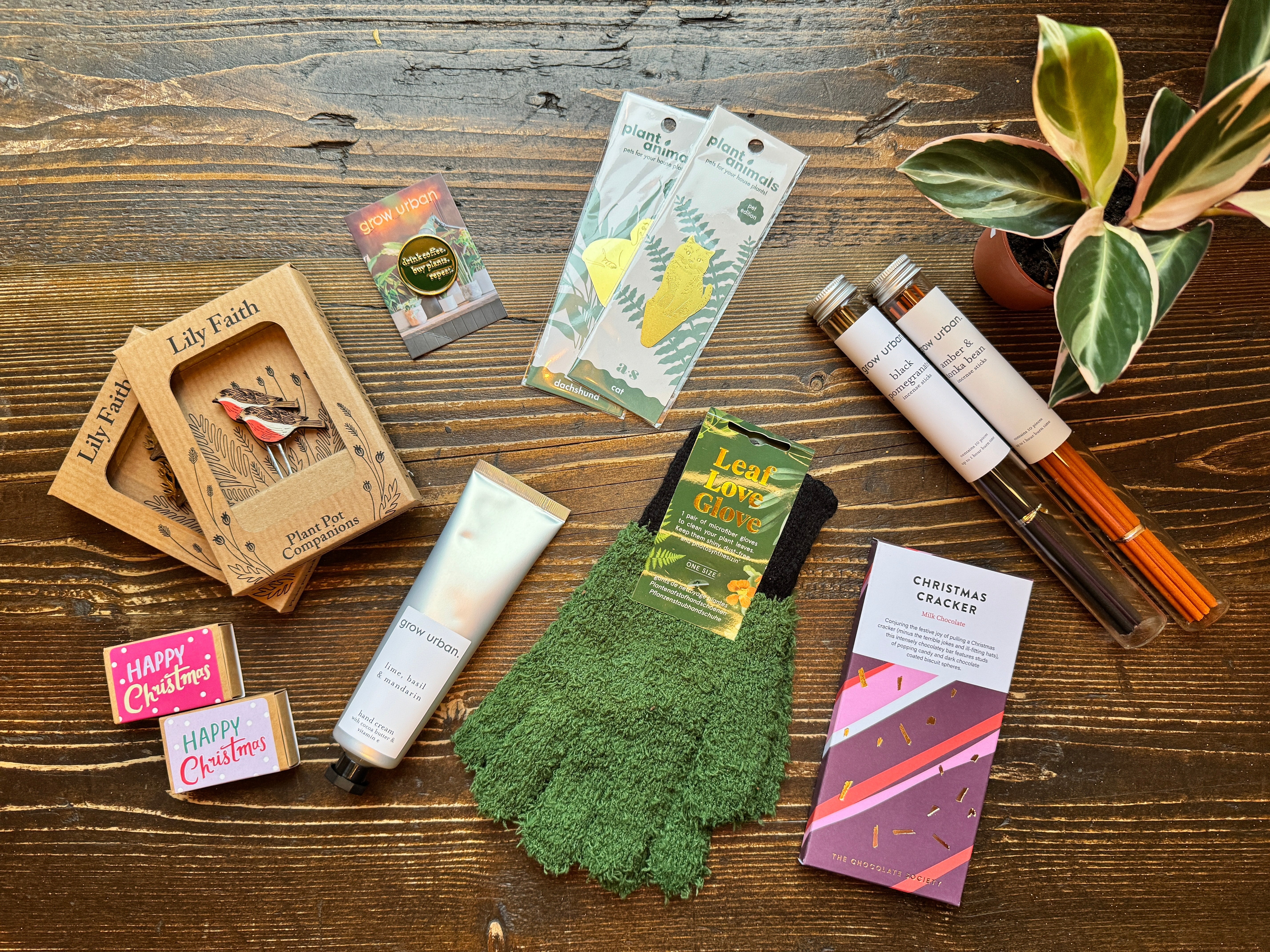 Stocking Filler Gifts for Plant Loving Friends and Family