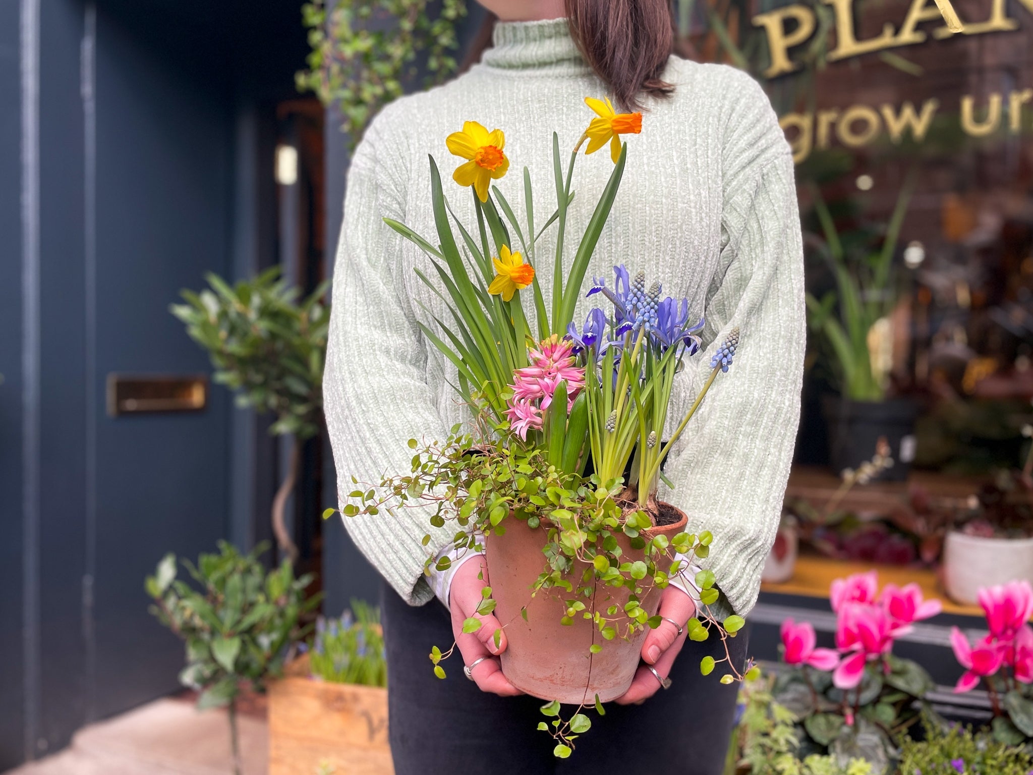 A girl holding a terracotta pot planted with Daffodils, Muscari and Muehlenbeckia