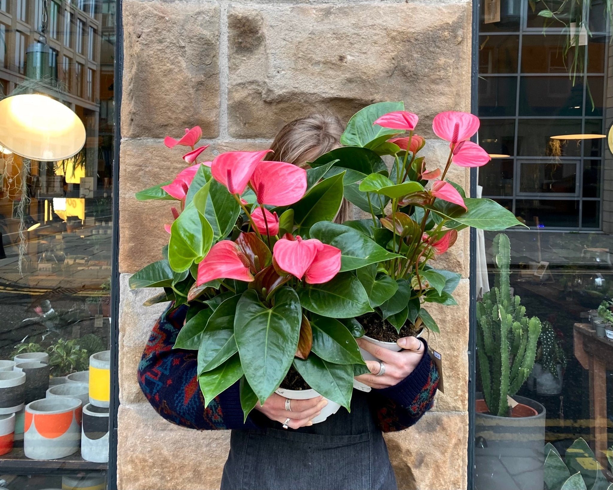 Top plants to give your Sweetheart - grow urban.