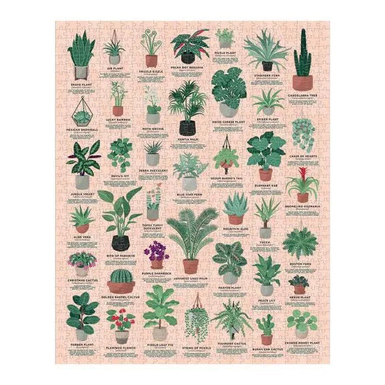 House Plants Jigsaw Puzzle | 1000 Piece