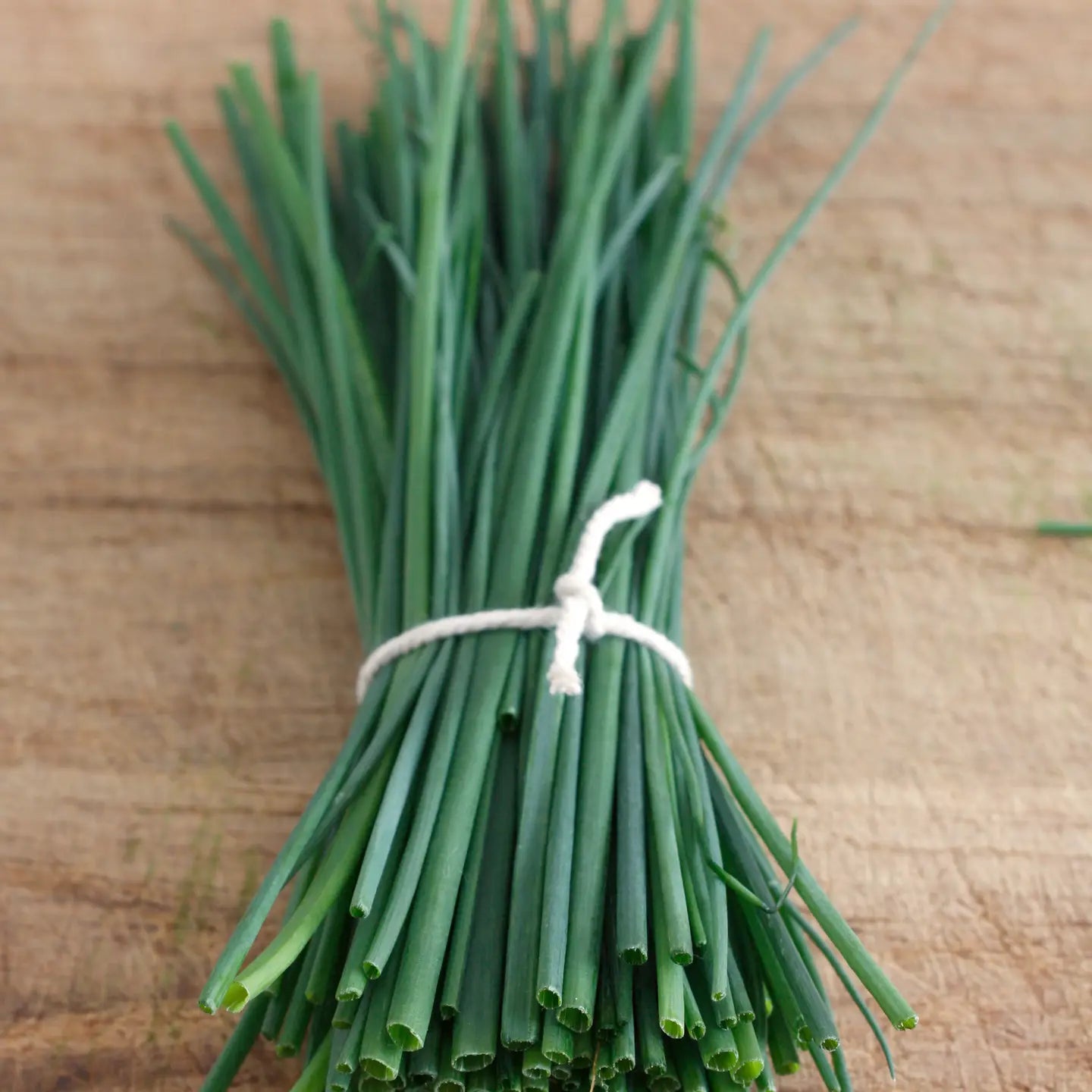 Piccolo Herb Seed Packs
