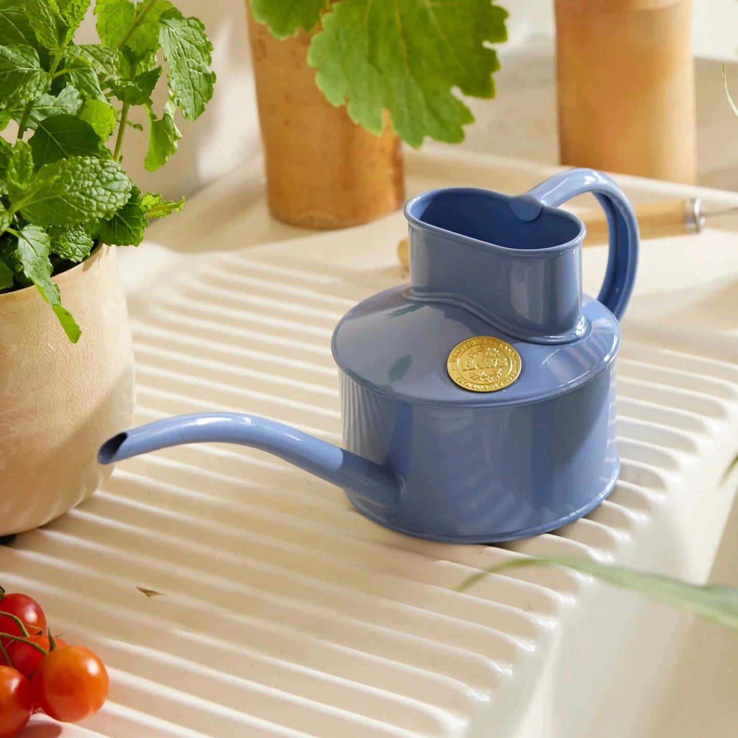 Haws | The Fazeley Flow Bluebell Meadow - One Pint