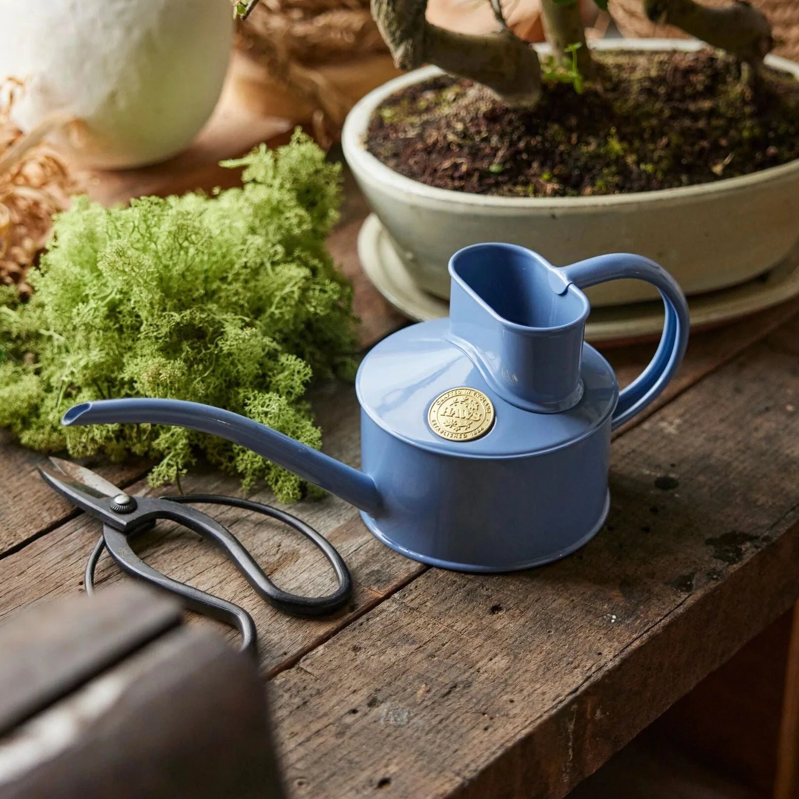 Haws | The Fazeley Flow Bluebell Meadow - One Pint