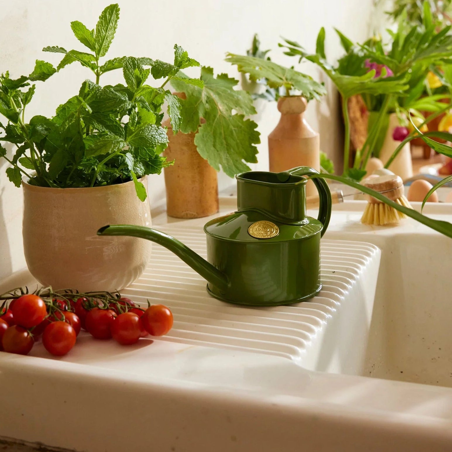 Haws | The Fazeley Flow Fern Green - One Pint