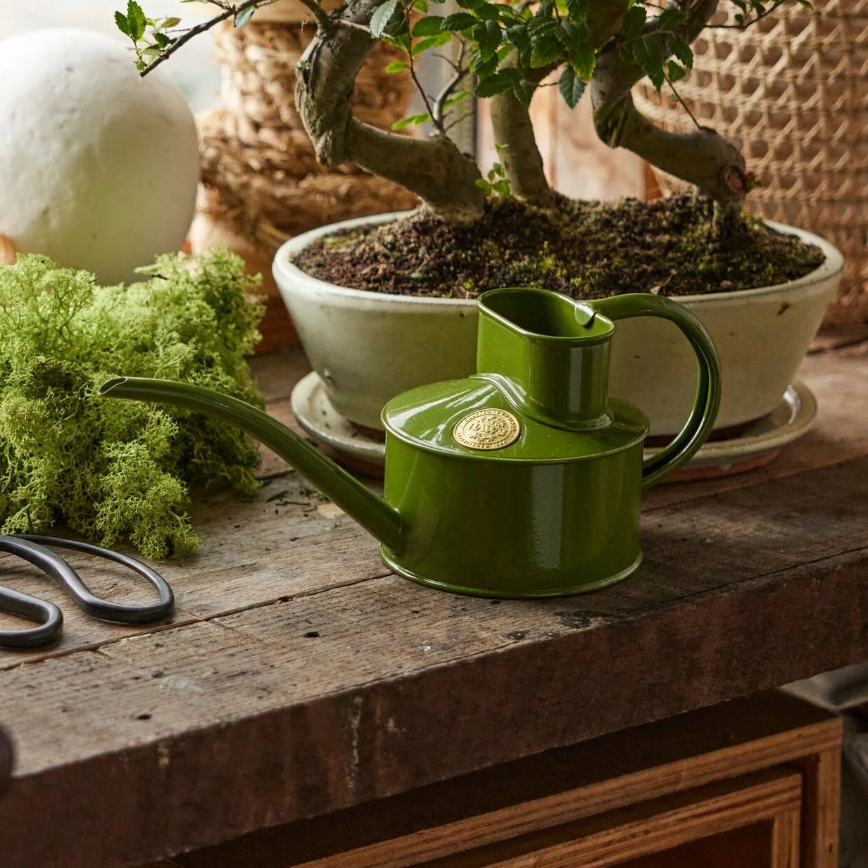 Haws | The Fazeley Flow Fern Green - One Pint