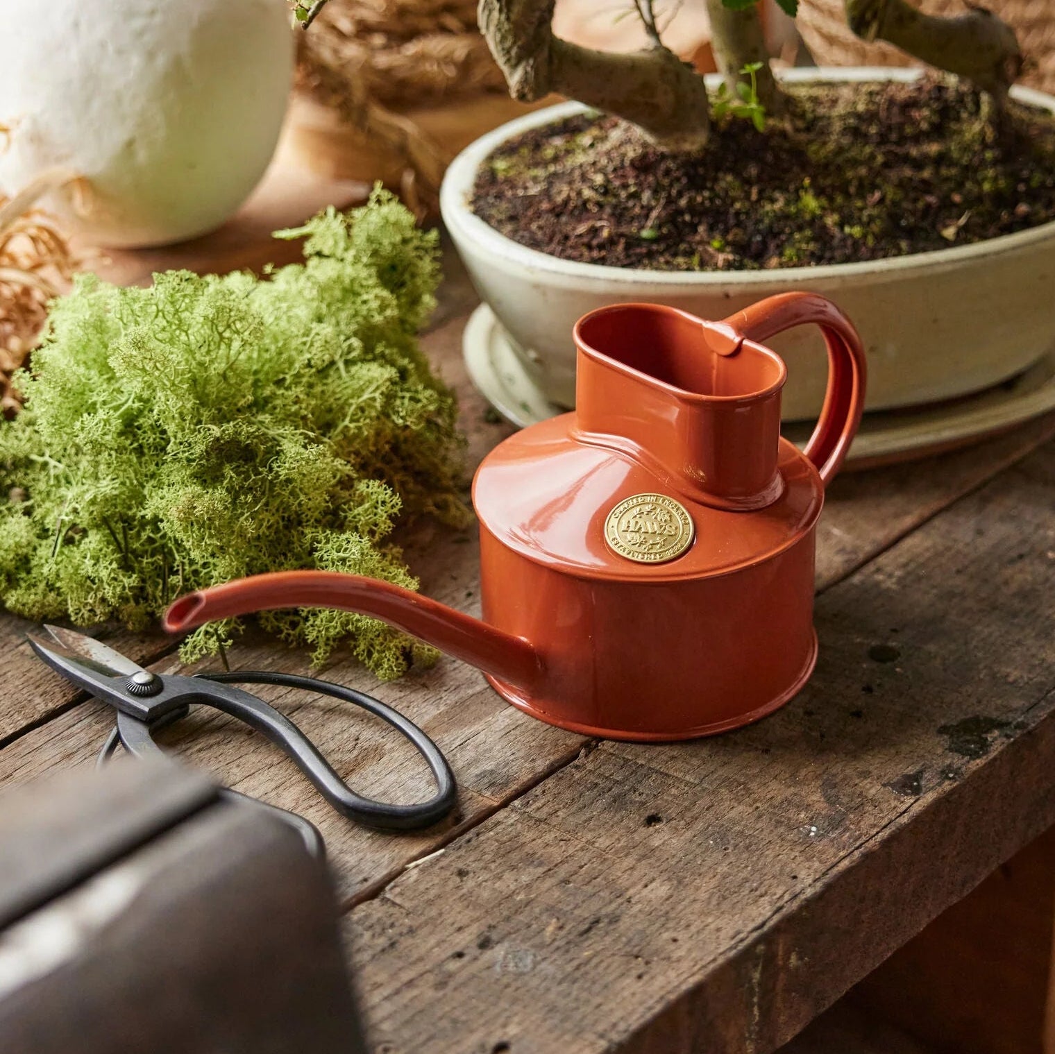 Haws | The Fazeley Flow Terracotta - One Pint