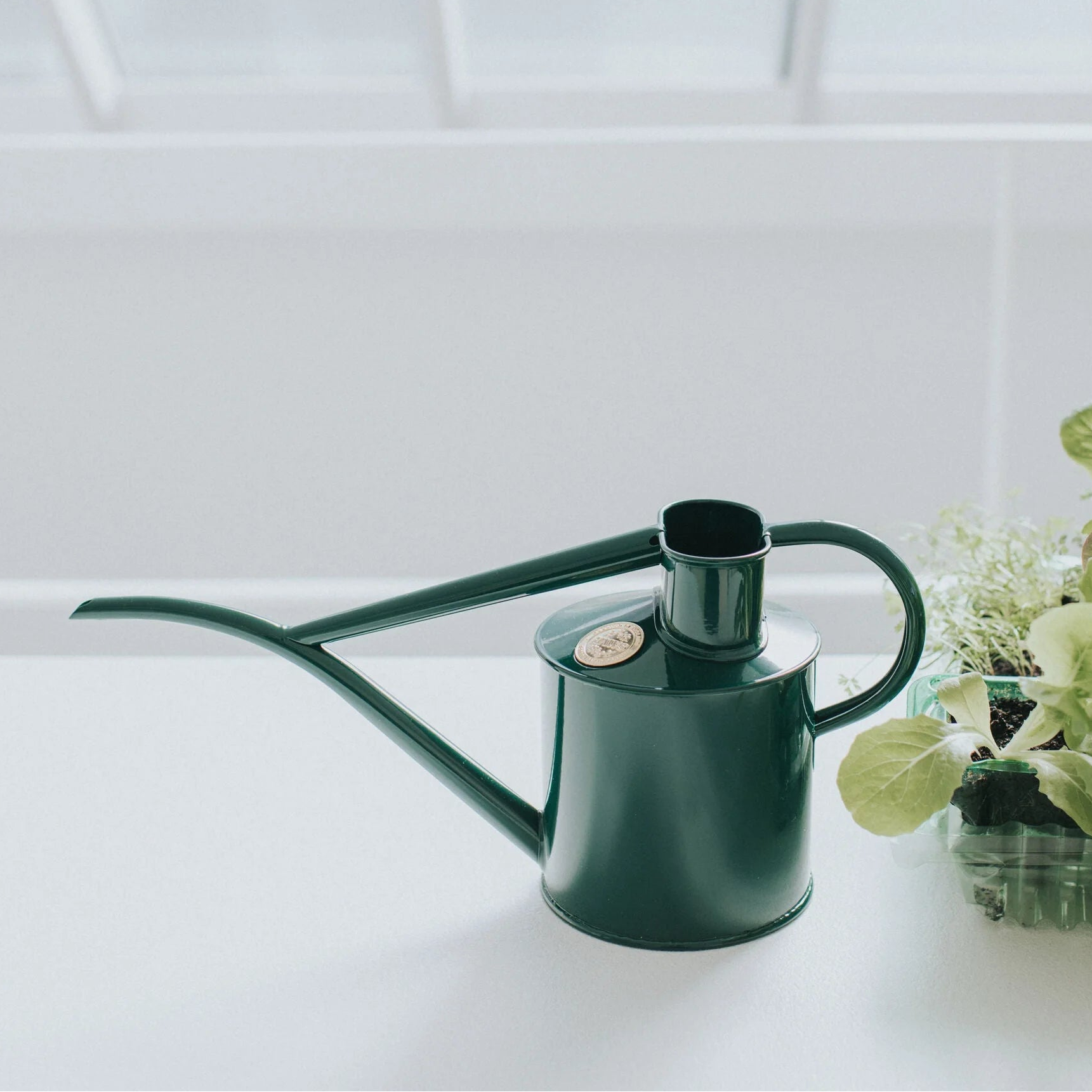 Haws | The Fazeley Flow Green - Two Pint