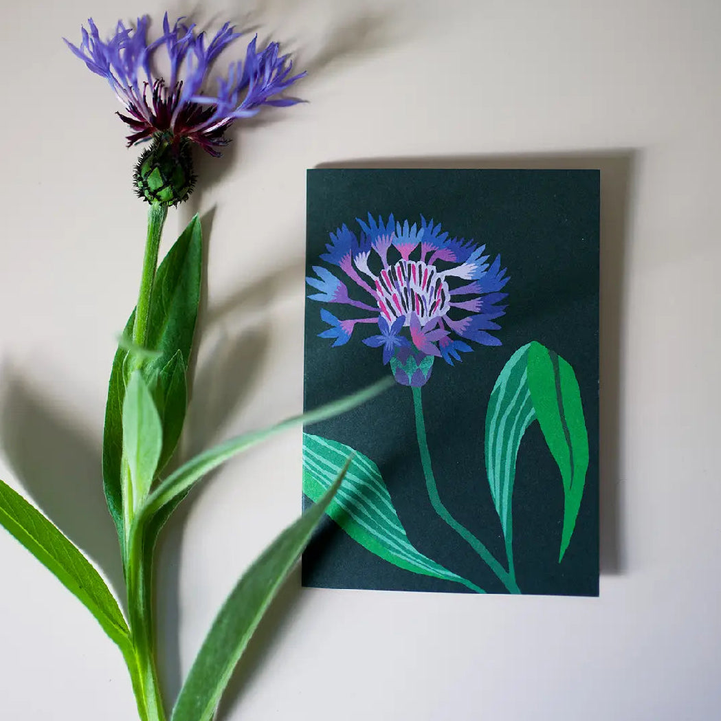 Real purple flower next to a painting of a purple flower on a dark background