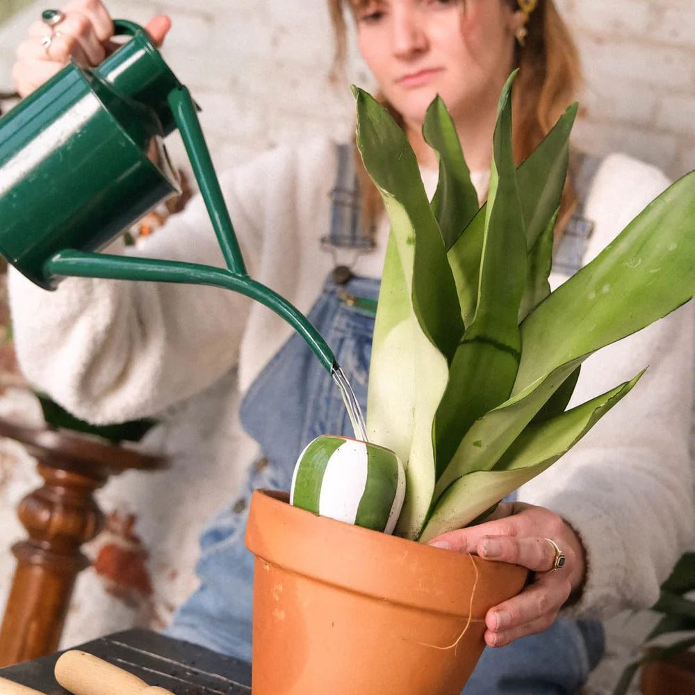 Pepin Trio Striped Mini Ollas – Terracotta & Striped Gift Set