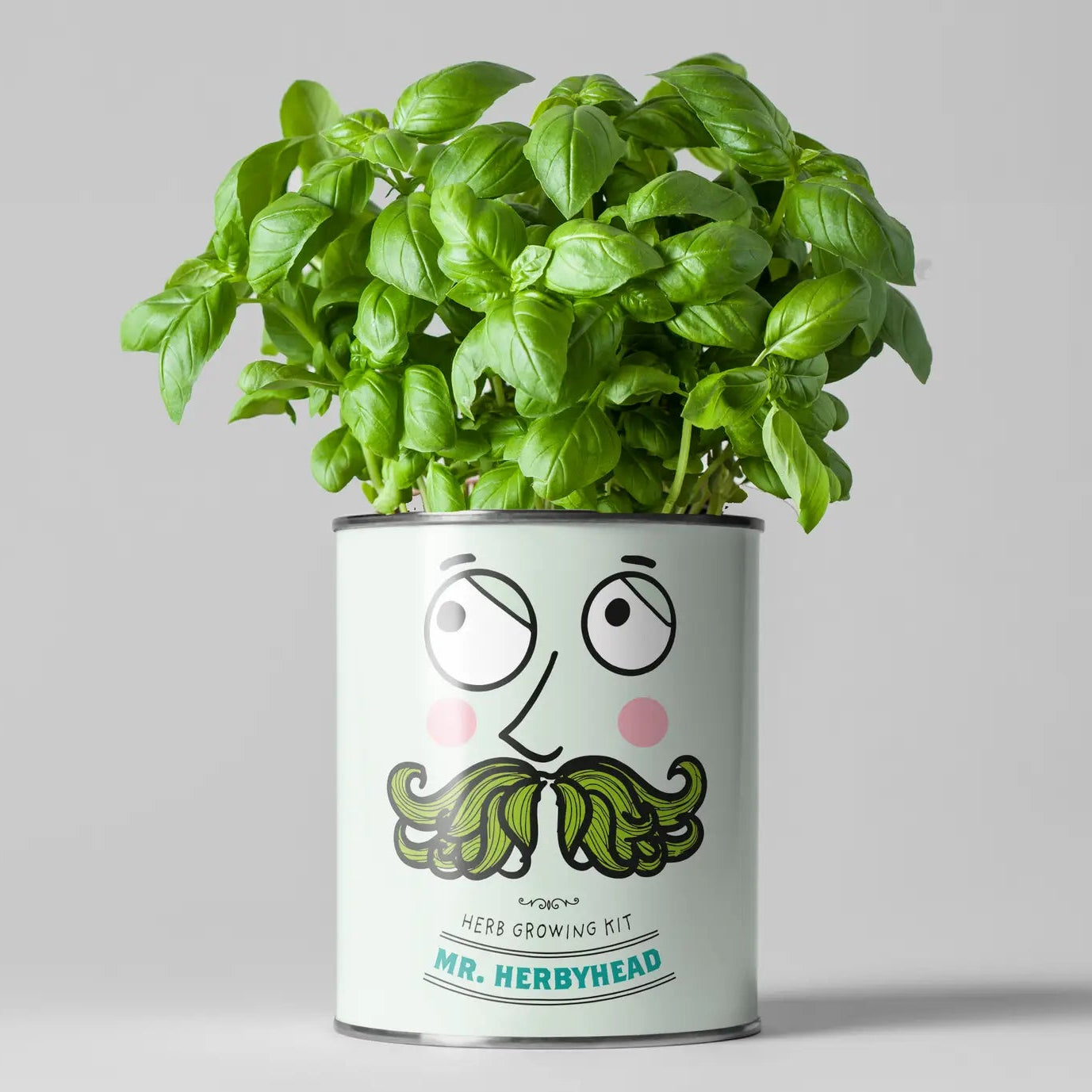 A potted basil plant in a cylindrical metal planter with a cartoon face and green mustache. The planter reads 'HERB GROWING KIT'.