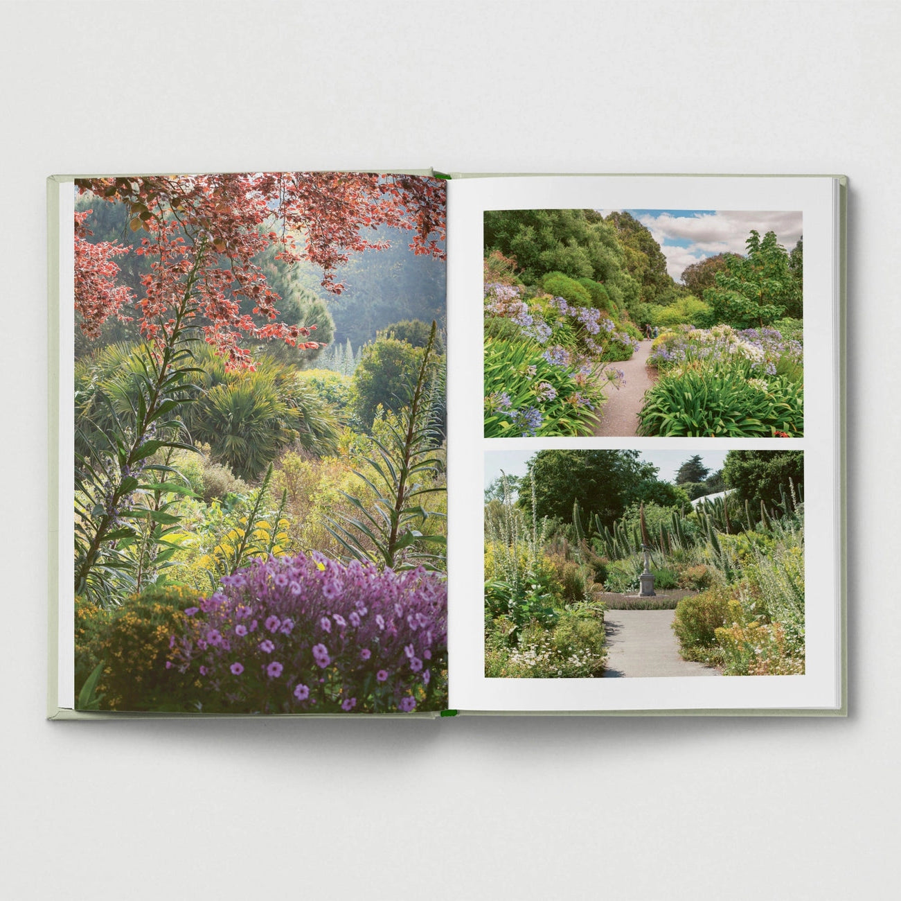 Britain's Best Gardens