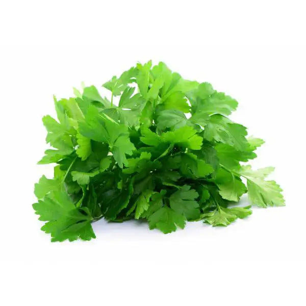 Piccolo Herb Seed Packs