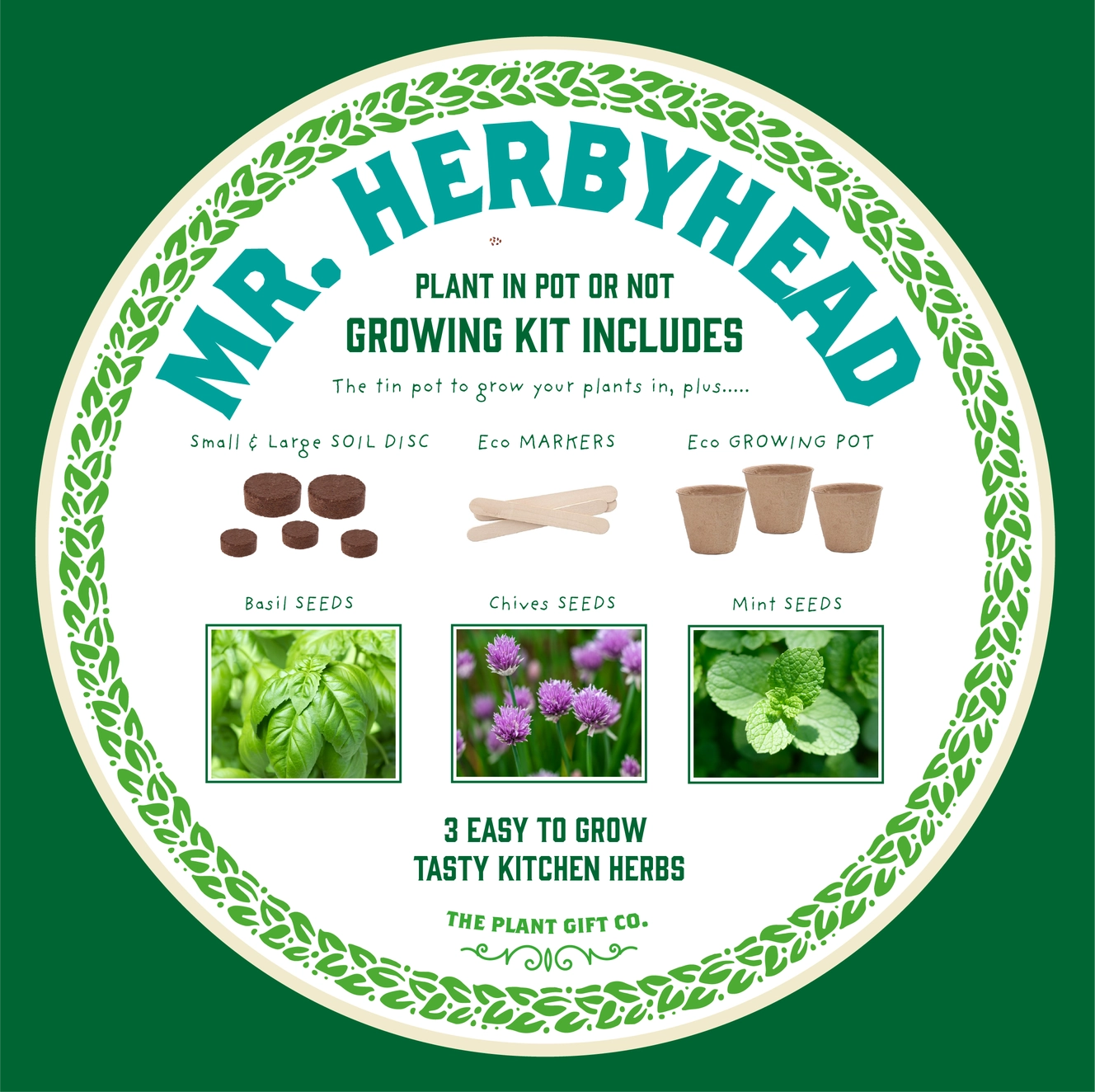 Mr Herby Head | Grow Your Own Herb Kit