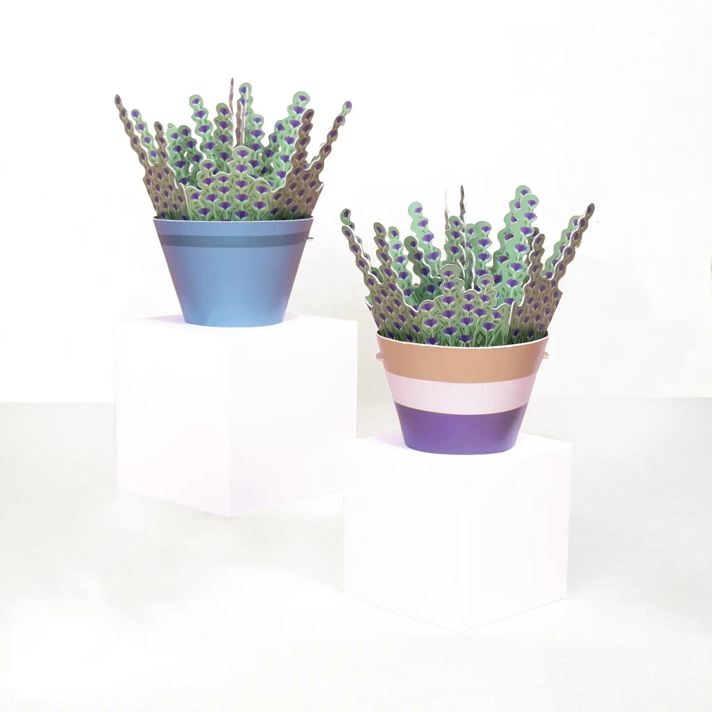 Make Your Own Calming Lavender Paper Plant Kit