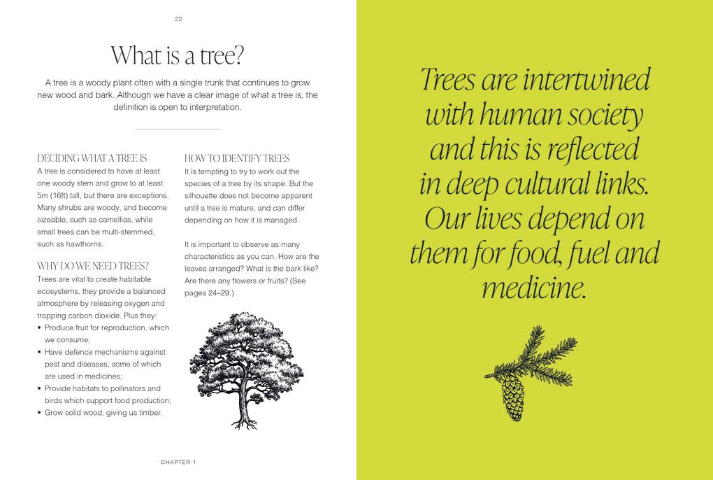 Trees: A Pocket Guide (RHS)