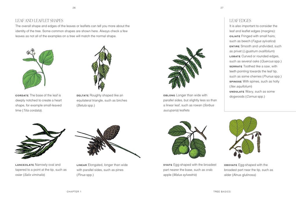 Trees: A Pocket Guide (RHS)