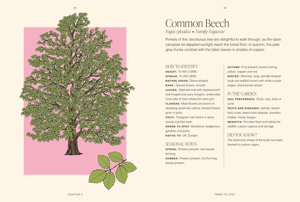 Trees: A Pocket Guide (RHS)