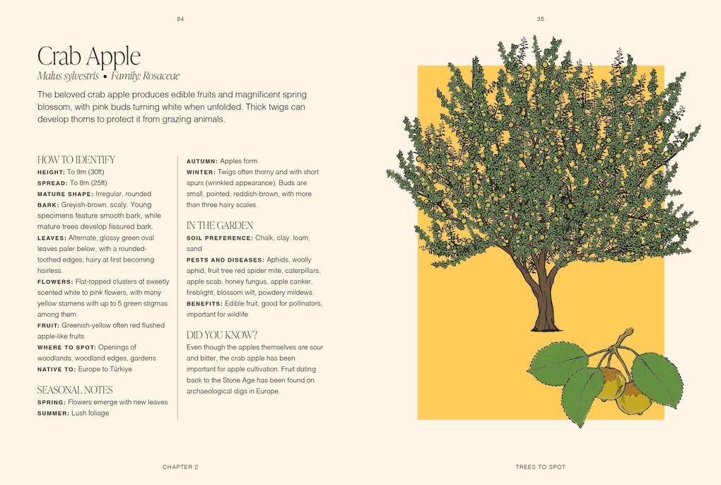 Trees: A Pocket Guide (RHS)