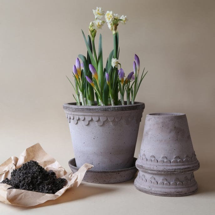 Bergs Potter Copenhagen Pot & Saucer Set - Grey Terracotta