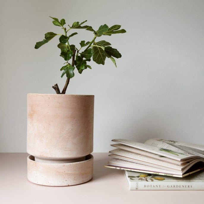 Bergs Potter terracotta planter with a small plant on a table next to an open book.