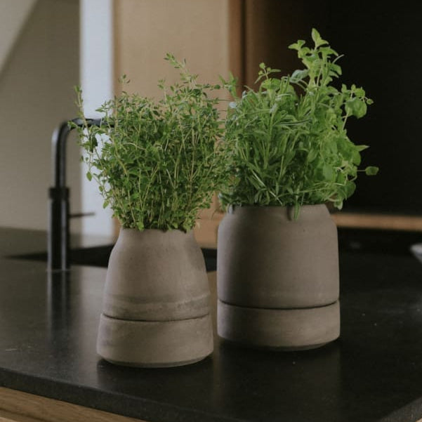 Bergs Potter Viva Self-Watering Pot