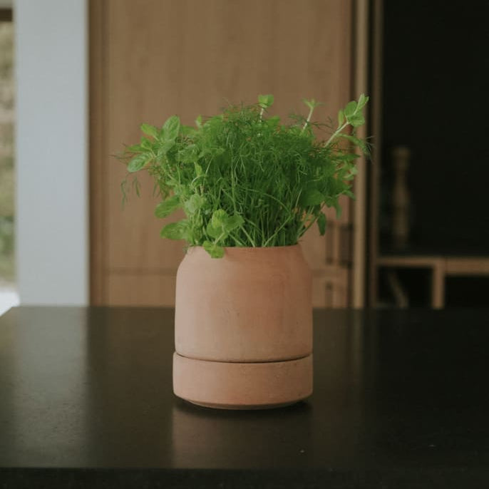 Bergs Potter Viva Self-Watering Pot