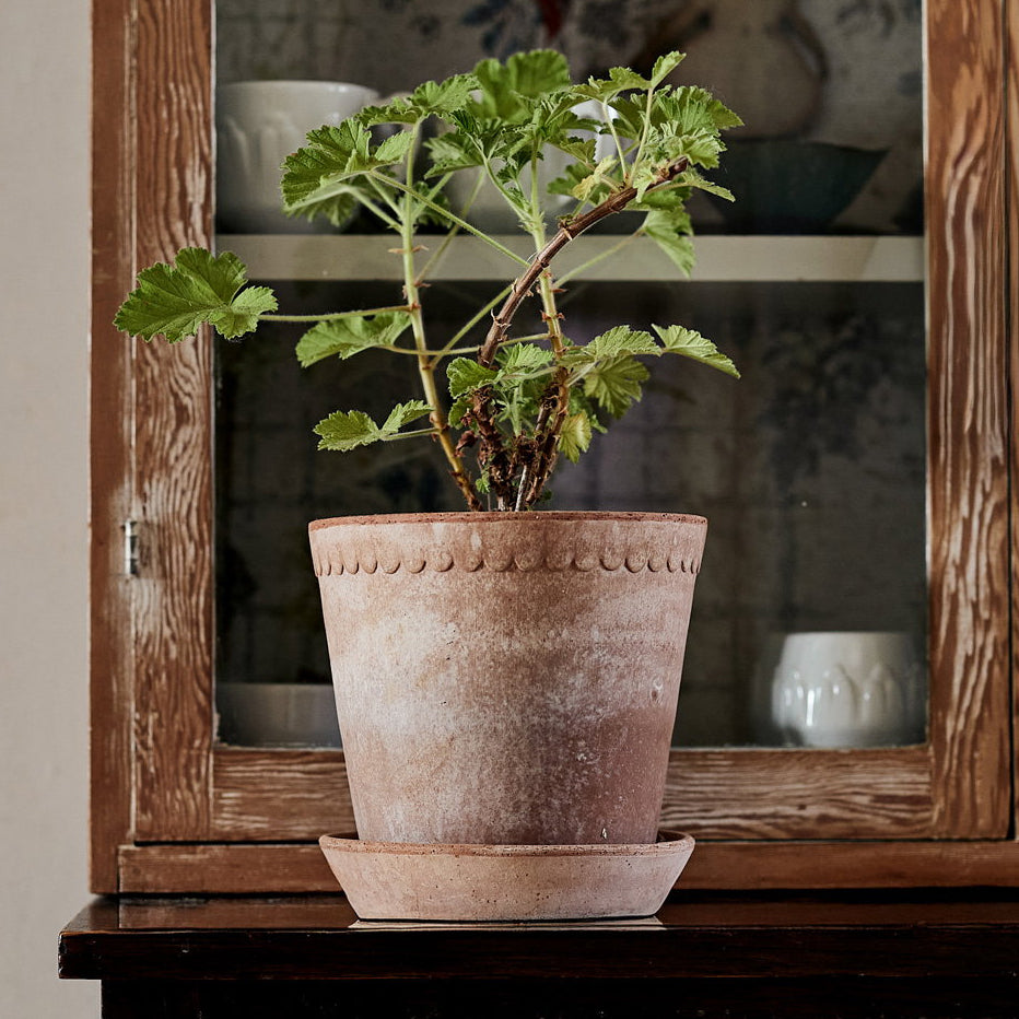 Potted plant in a Bergs Potter Helena Pot on a wooden cabinet with a mirror in the background